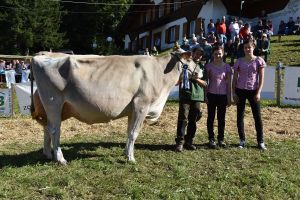 Schneuter jngere Eros Elli klein